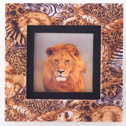 Safari Framed Lion