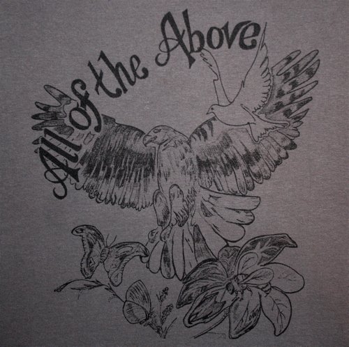 Flight--Gray--Adult Medium