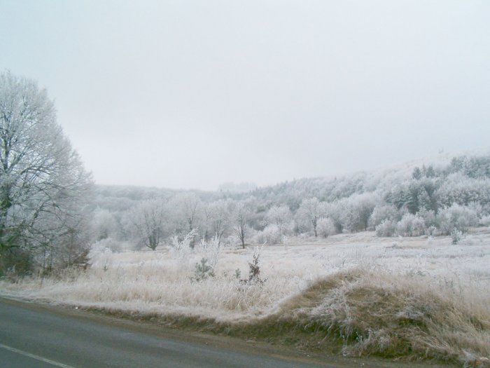 Kassa (Kosice)