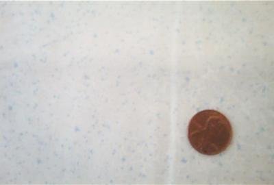 1 YD 31" Blue Specks on White Quilt Fabric