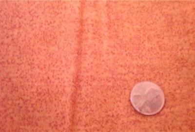 Brown on Orange Quilt Fabric