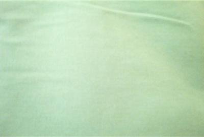 Light Sage Green Quilt Fabric