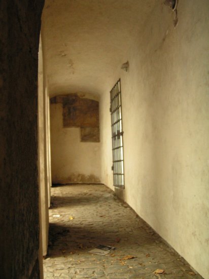 SOLITUDE II GREETING CARDS