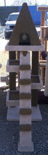 PURAMID OF THE CAT GODS