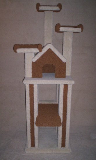 BIG HOUSE