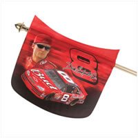 Mini Dale Earnhardt Flag