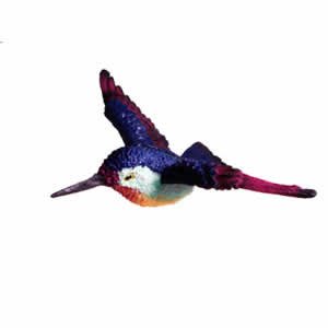 Window Fly Thru - Hummingbird