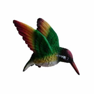 Window Fly Thru - Rainbow Hummingbird
