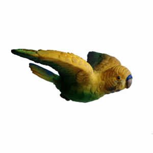 Window Fly Thru - Yellow Parakeet