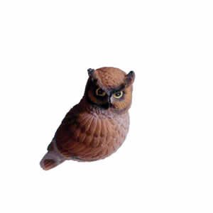 Window Fly Thru - Screech/Barn Owl