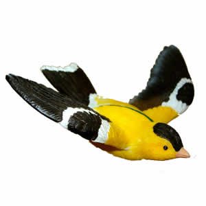 Window Fly Thru - Gold Finch