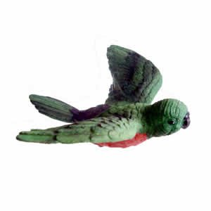 Window Fly Thru - Green Parakeet