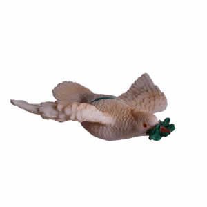 Window Fly Thru - Peace Dove
