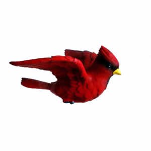 Window Fly Thru - Cardinal