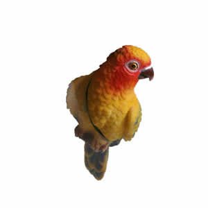 Window Fly Thru - Parrot