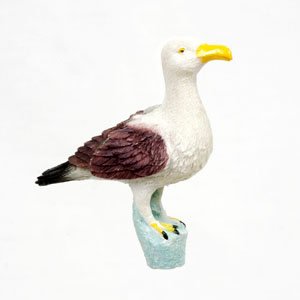 Window Fly Thru - Seagull