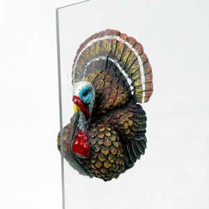 Window Fly Thru - Turkey