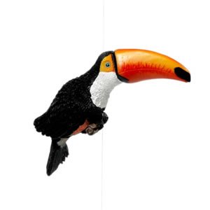 Window Fly Thru - Toucan