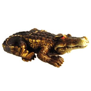 Window Fly-Thru - Alligator