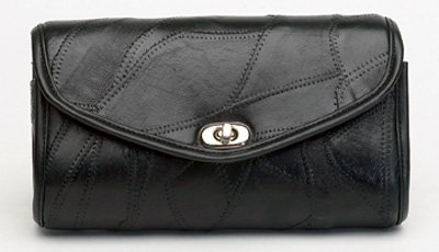 Windshield Bag