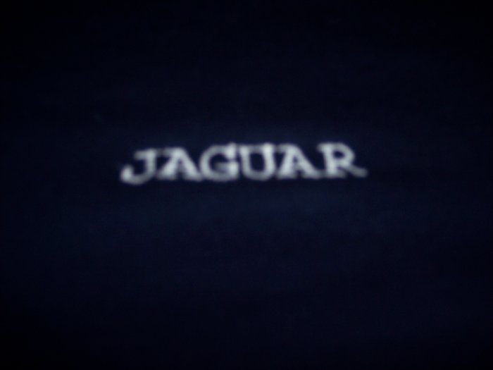 Childs Jaguar, Ford, Chevy, Dodge Custom Embroidered t shirt