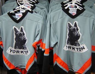 Youth Terrier Jersey