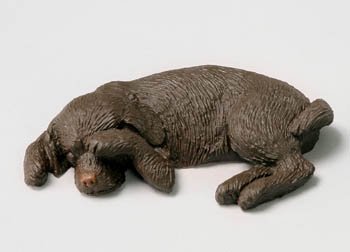 Chocolate Lab