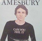 Bill Amesbury - Can YoU Feel It (LP)