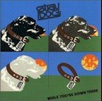 Stray Dog - WHile You're Down There (LP)