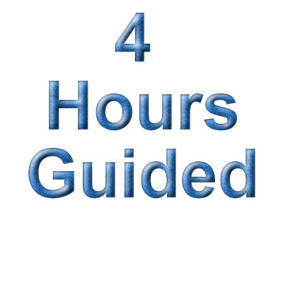 4 Hour Guiding & Consulting Fee