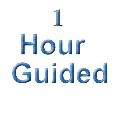 1 Hour Guiding & Consulting Fee