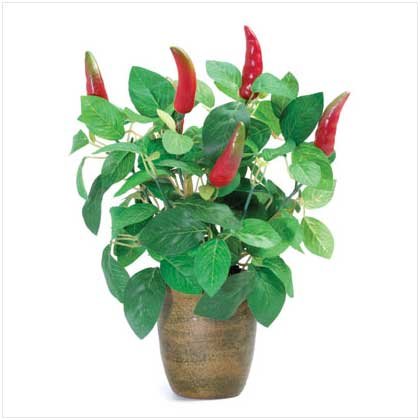 CHILI PEPPER PLANT Retail: $9.95