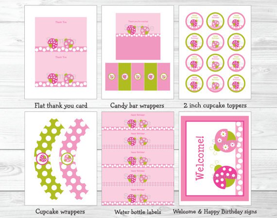 Pink Green Ladybug Printable Birthday Party Package #A165