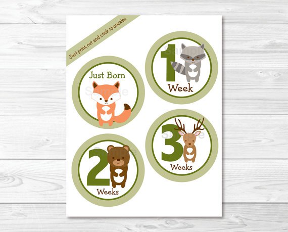 Woodland Animals Monthly Milestone DIY You Print PDF Stickers & Iron On Transfers #A191