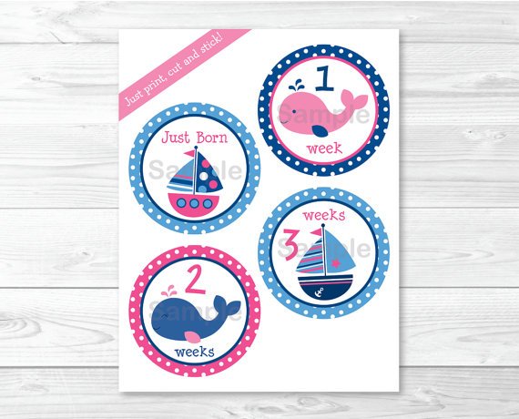 Pink Whale & Sailboat Monthly Milestone DIY You Print PDF Stickers & Iron On Transfers #A254