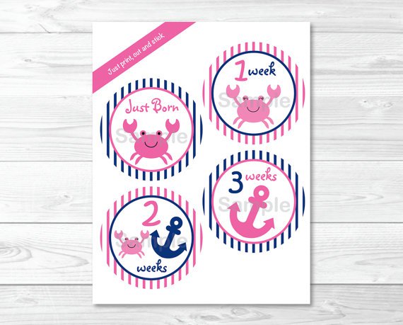 Pink Crab Nautical Monthly Milestone DIY You Print PDF Stickers & Iron On Transfers #A121