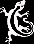 (LIZ 1) 6" white vinyl Lizard gecko climbing die cut decal sticker.
