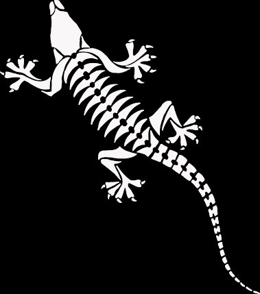 (LIZ 4) 6" white vinyl Lizard gecko climbing die cut window laptop decal sticker.