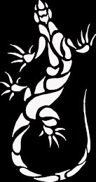 (LIZ 5) 6" white vinyl Lizard gecko climbing die cut window laptop decal sticker.