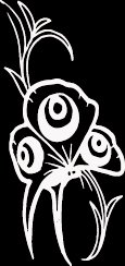 (BTR 4) 6" white vinyl Butterfly die cut window laptop decal sticker.