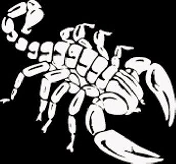 (SCR 2) 6" white vinyl Tribal Scorpion die cut window laptop decal sticker.
