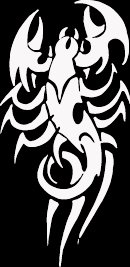 (SCR 4) 6" white vinyl Tribal Scorpion die cut window laptop decal sticker.