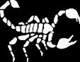 (SCR 8) 6" white vinyl Tribal Scorpion die cut window laptop decal sticker.