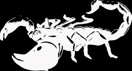 (SCR 13) 6" white vinyl Tribal Scorpion die cut window laptop decal sticker.