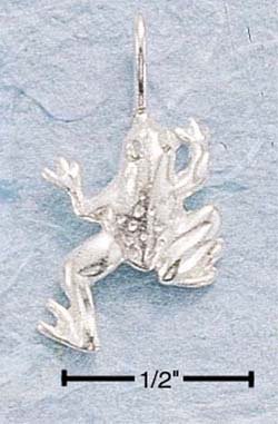 STERLING SILVER SMALL DC FROG CHARM