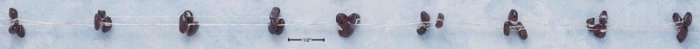 STERLING SILVER 17" GARNET CHIPS FLOATING ON 3 STRING NECKLACE
