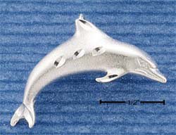 STERLING SILVER SATIN/DC DOLPHIN CHARM