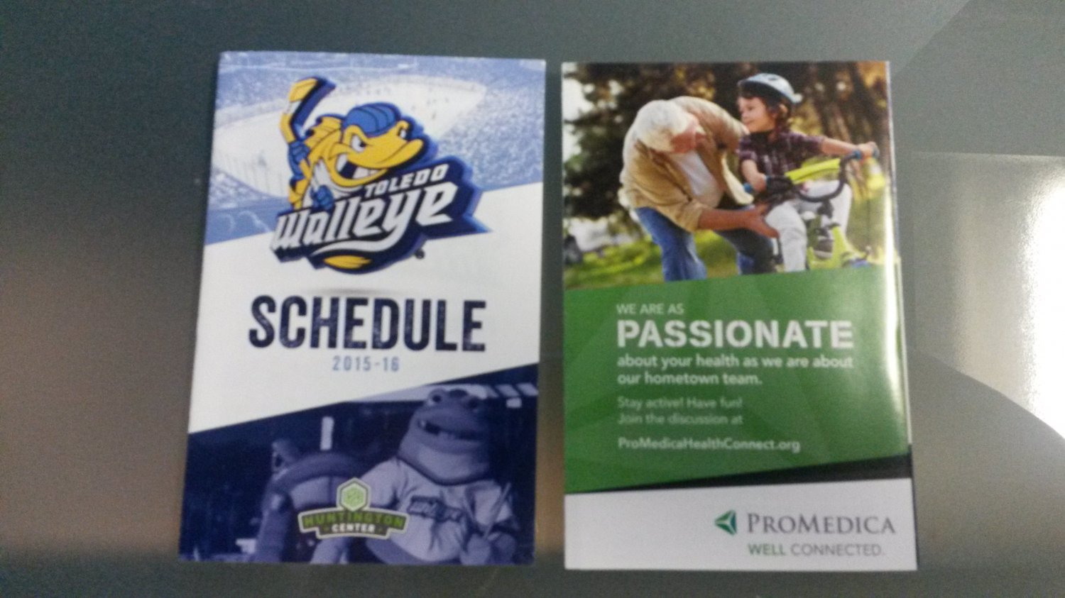 2015 Toledo Walleye Hockey Pocket Schedule
