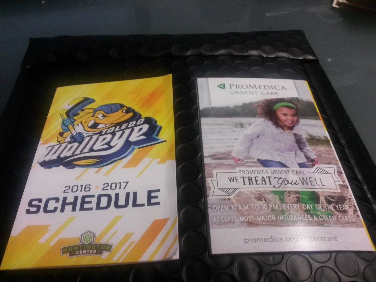 2016 2017 Toledo Walleye Pocket Schedule ECHL