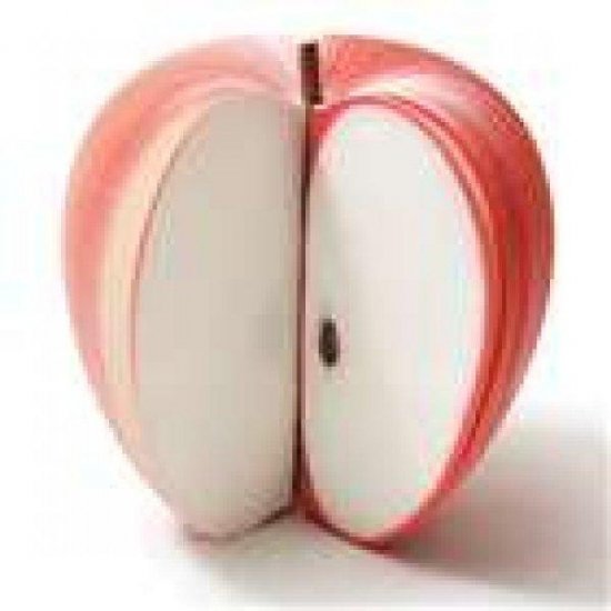 Apple Shaped Notepad
